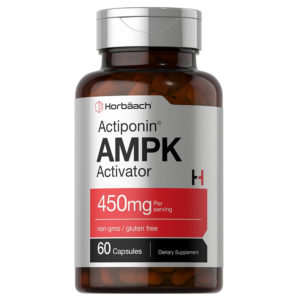 돌외잎 추출물 AMPK 효소 영양제 450mg 60정